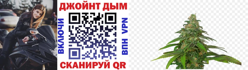 Бошки Шишки ГИДРОПОН  Купить закладки  Владикавказ 